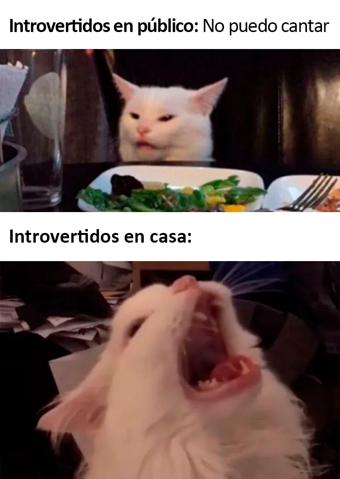 20 Divertidos memes sobre introvertidos realmente acertados