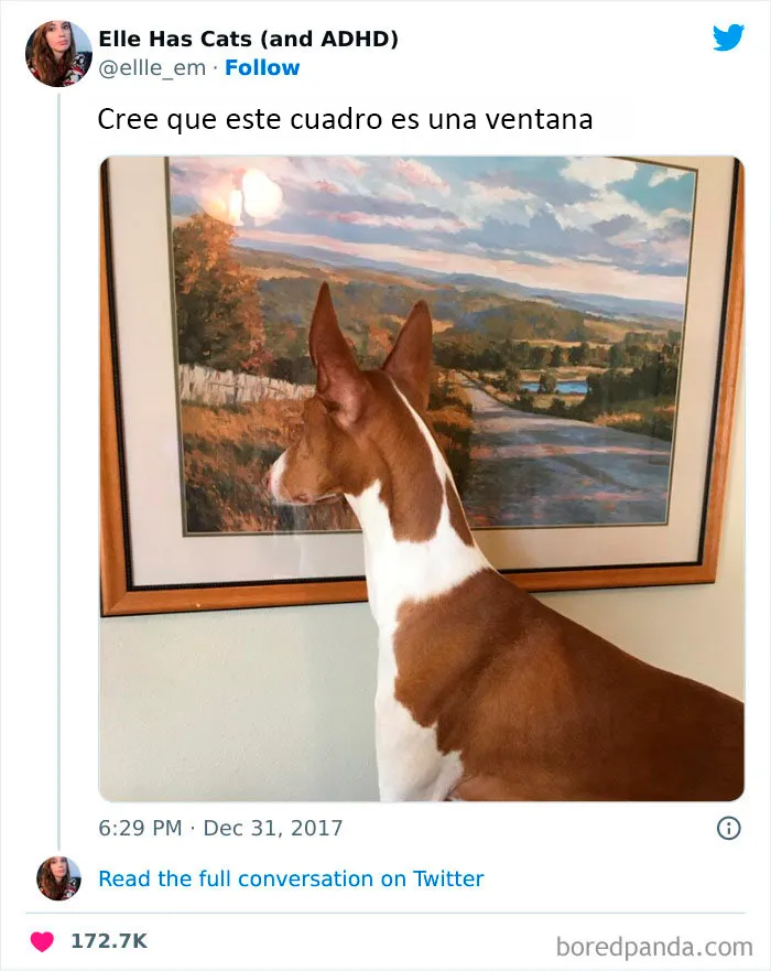 Estos divertidos 20 memes de animales te alegrarán el día