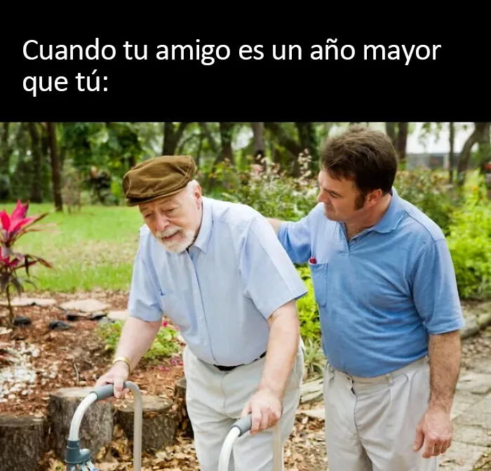 20 Divertidos memes que te atacan personalmente