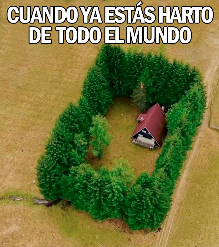 20 Divertidos memes sobre introvertidos realmente acertados