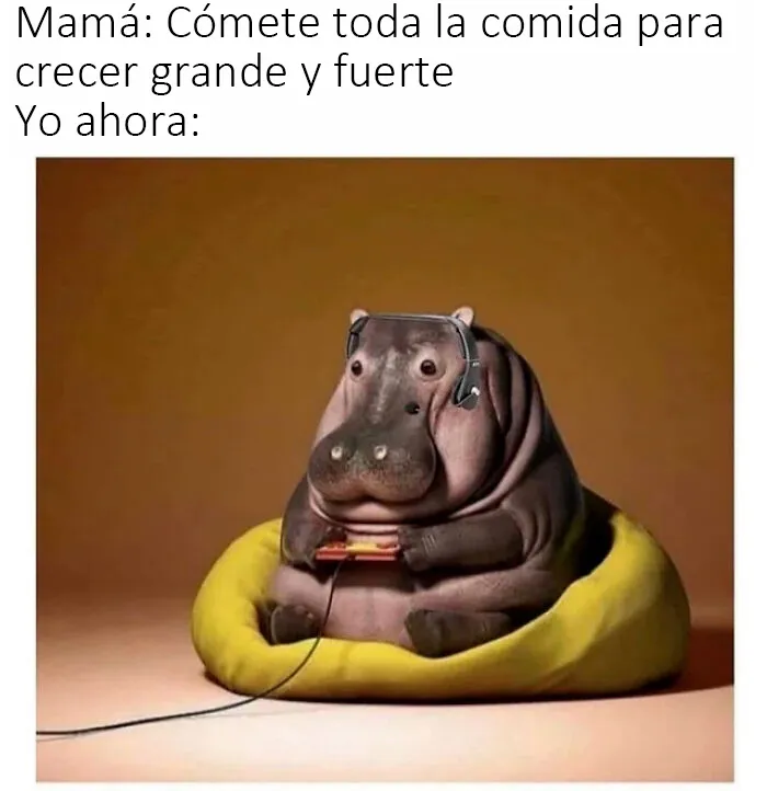 20 Divertidos memes que te atacan personalmente
