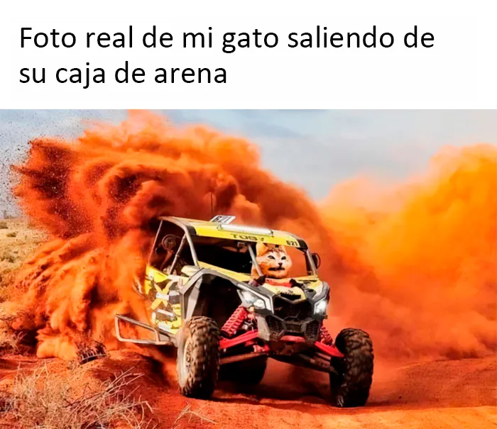 Estos divertidos 20 memes de animales te alegrarán el día