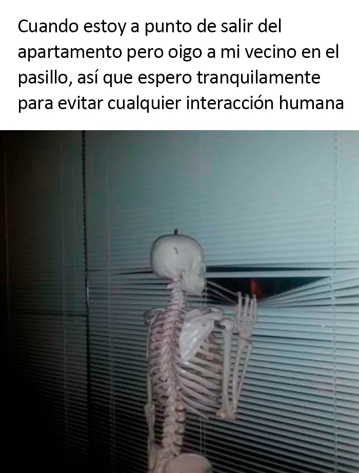 20 Divertidos memes sobre introvertidos realmente acertados