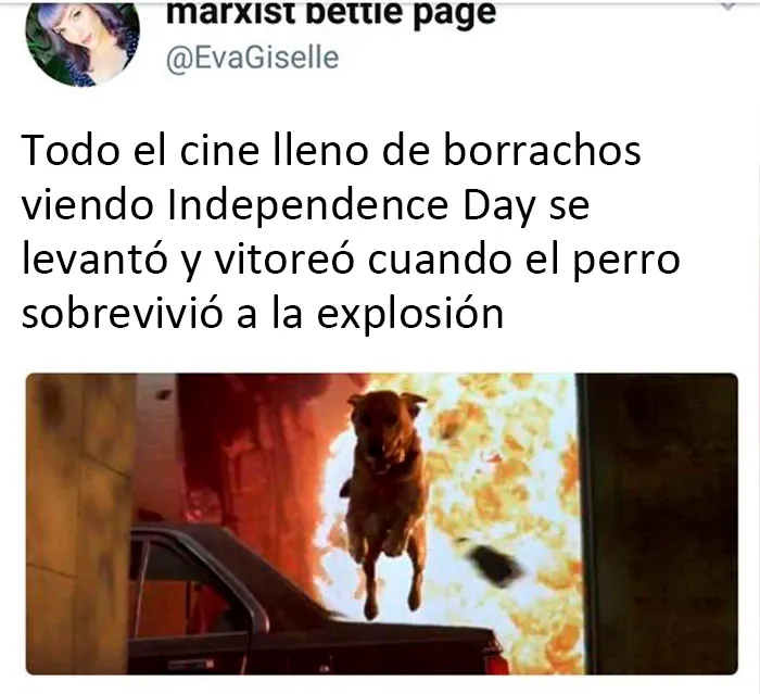 20 Divertidos y reconfortantes memes de animales para alegrarte el día