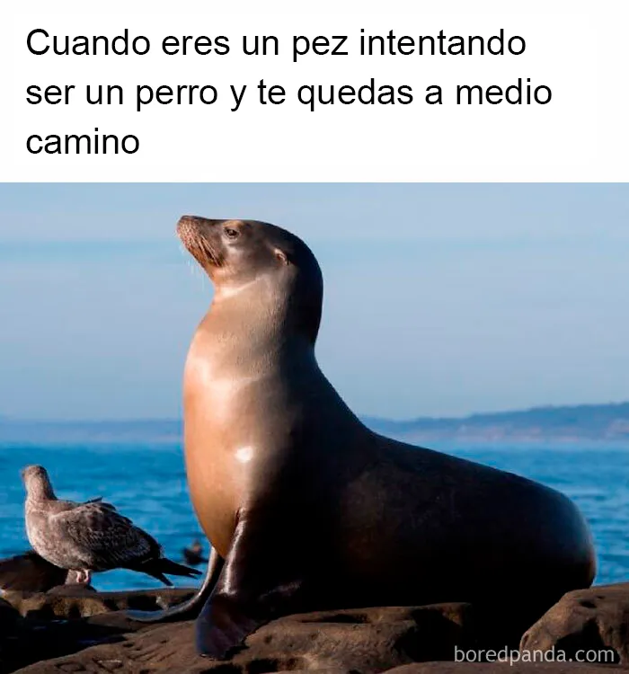 Cosas de la evolución
