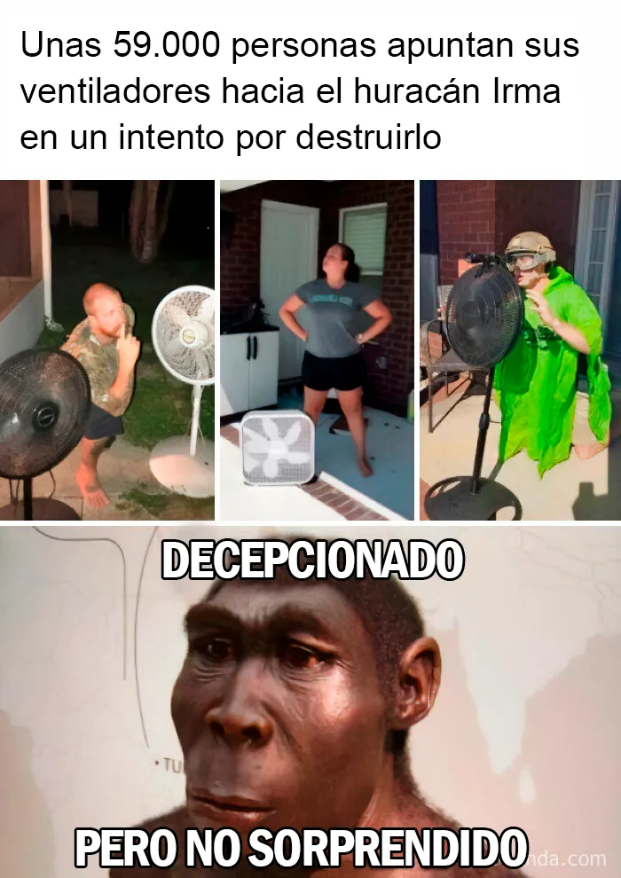 La evolución es una mentira