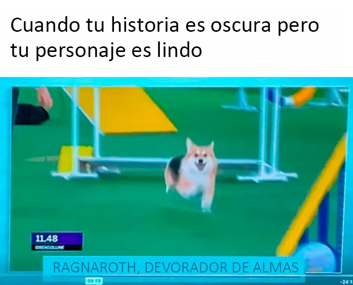 Estos divertidos 20 memes de animales te alegrarán el día