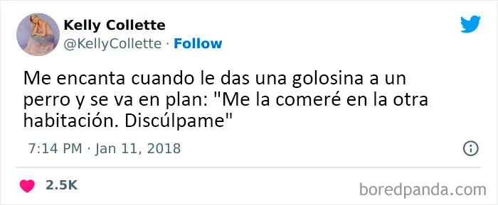 20 Divertidos y reconfortantes memes de animales para alegrarte el día
