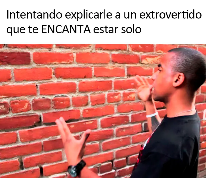 20 Divertidos memes sobre introvertidos realmente acertados