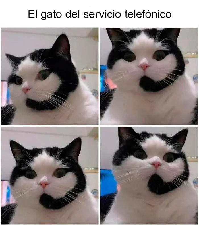 20 Memes de informáticos publicados en el grupo de Facebook 'IT Humor And Memes' (nuevas fotos)