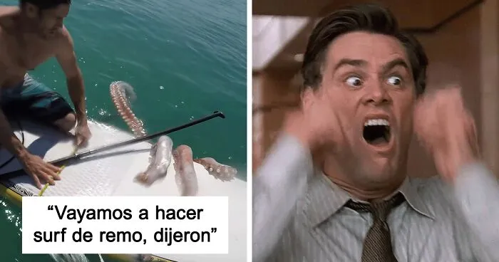 40 ejemplos perfectos de la madre naturaleza como máquina de pesadillas