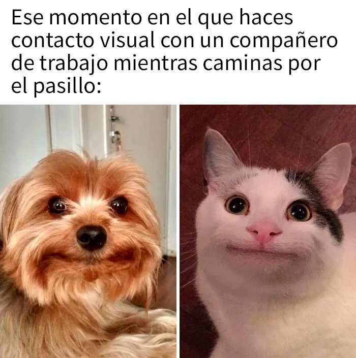 20 Memes laborales para reirte mientras deberías estar trabajando