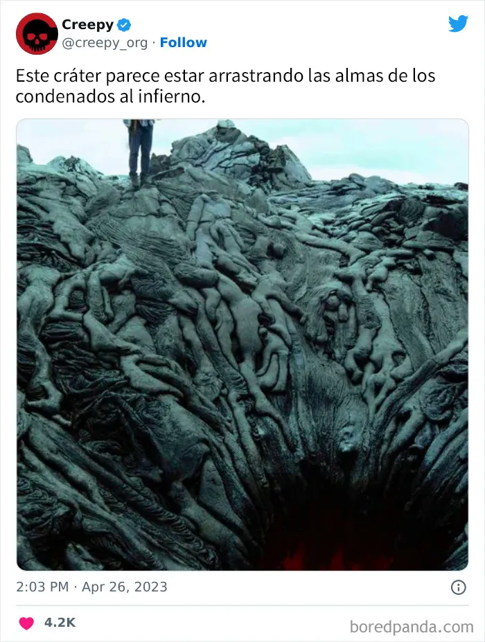 20 Escalofriantes publicaciones que te harán debatirte entre apartar la vista de la pantalla o seguir mirando hasta el final