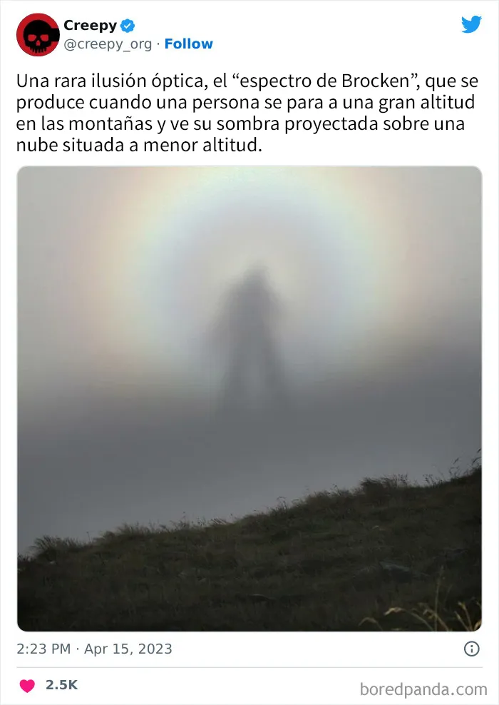20 Escalofriantes publicaciones que te harán debatirte entre apartar la vista de la pantalla o seguir mirando hasta el final