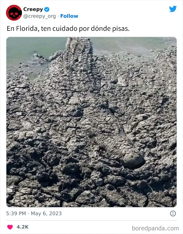 20 Escalofriantes publicaciones que te harán debatirte entre apartar la vista de la pantalla o seguir mirando hasta el final
