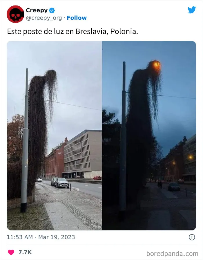20 Escalofriantes publicaciones que te harán debatirte entre apartar la vista de la pantalla o seguir mirando hasta el final