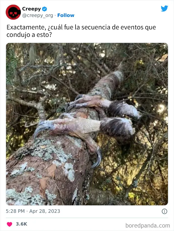 20 Escalofriantes publicaciones que te harán debatirte entre apartar la vista de la pantalla o seguir mirando hasta el final