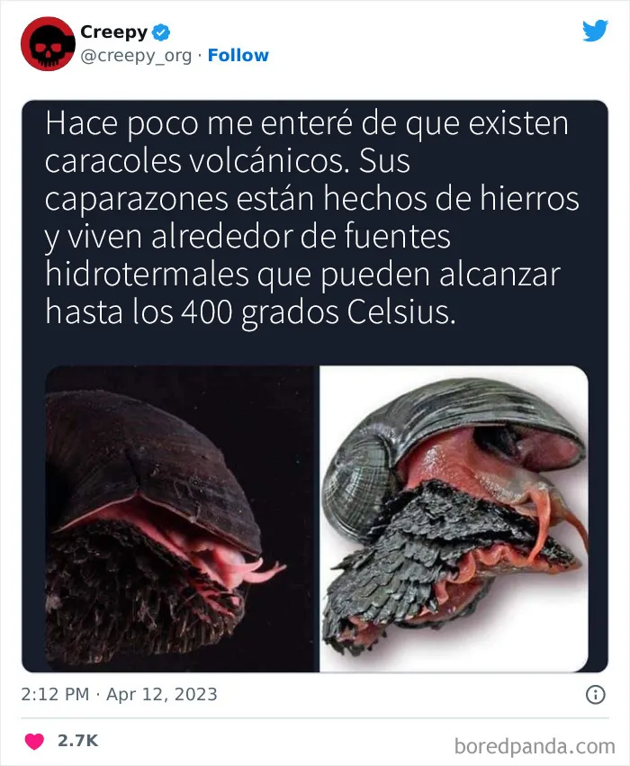 20 Escalofriantes publicaciones que te harán debatirte entre apartar la vista de la pantalla o seguir mirando hasta el final