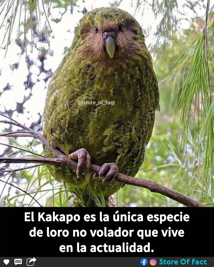 20 Datos fascinantes que te dejarán alucinando