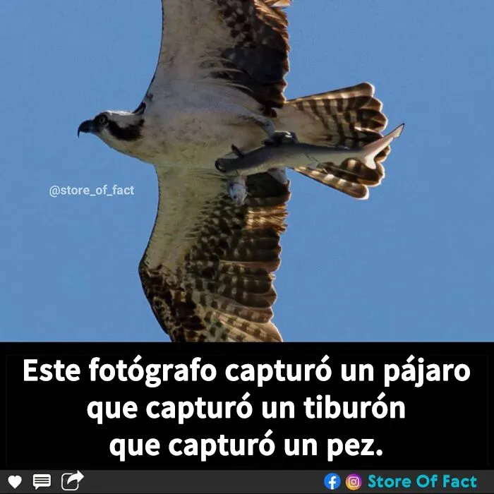 20 Datos fascinantes que te dejarán alucinando
