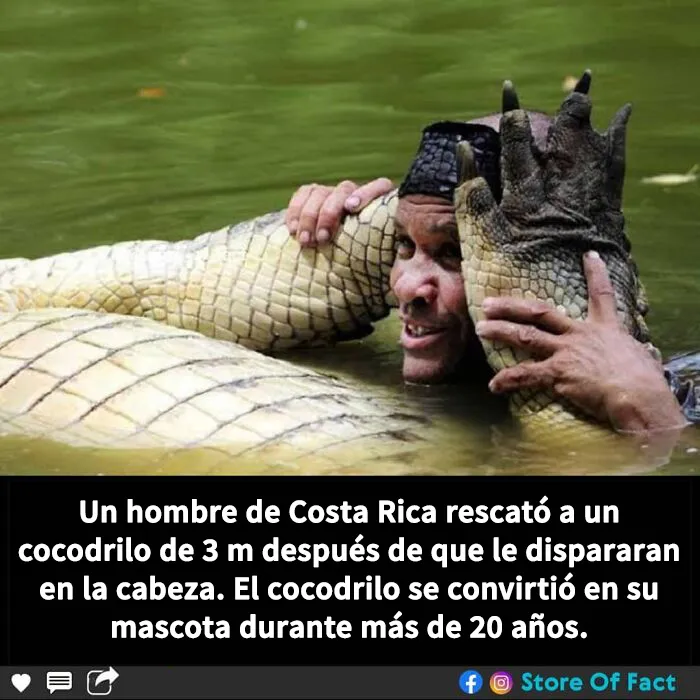 20 Datos fascinantes que te dejarán alucinando