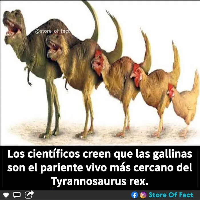 20 Datos fascinantes que te dejarán alucinando