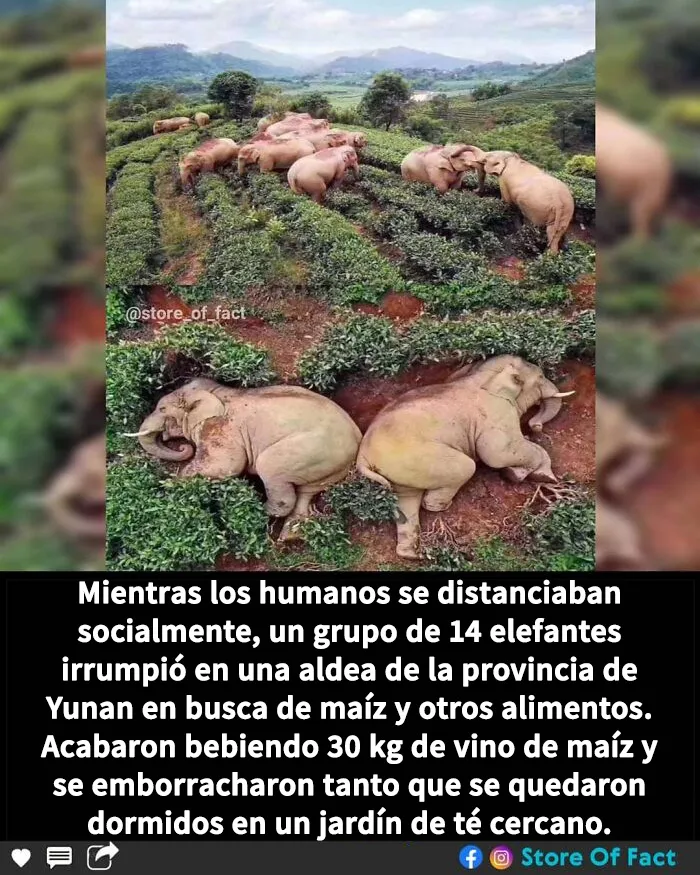 20 Datos fascinantes que te dejarán alucinando