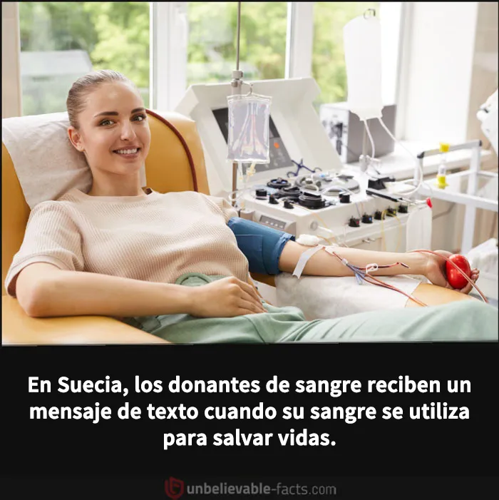 20 Datos increíbles y alucinantes que despertarán tu curiosidad