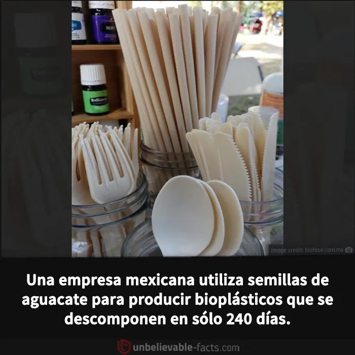 20 Datos increíbles y alucinantes que despertarán tu curiosidad