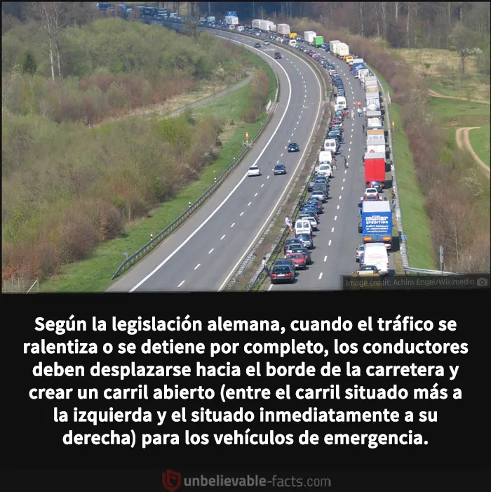20 Datos increíbles y alucinantes que despertarán tu curiosidad