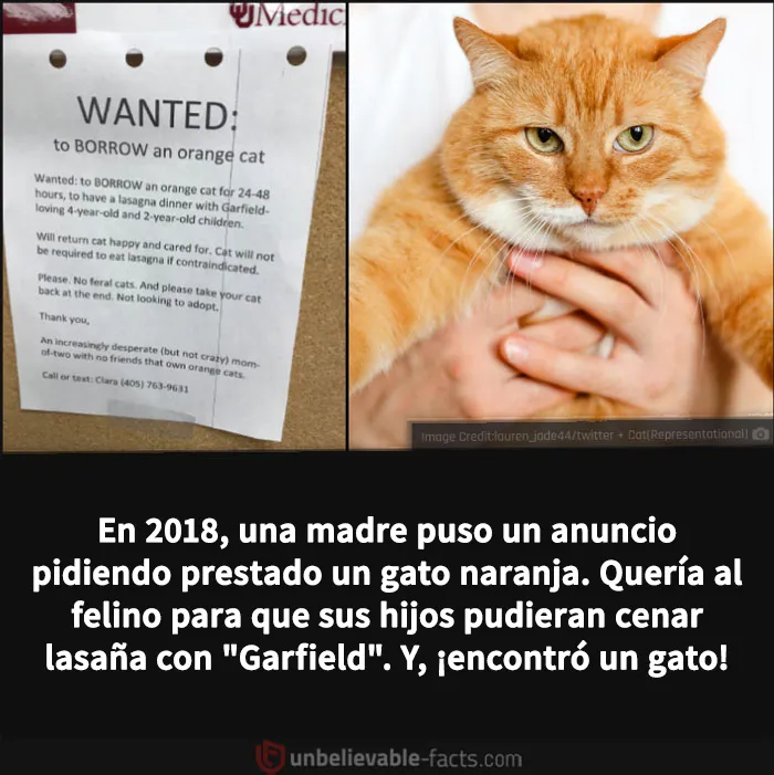 20 Datos increíbles y alucinantes que despertarán tu curiosidad