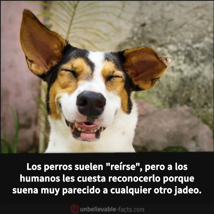 20 Datos increíbles y alucinantes que despertarán tu curiosidad