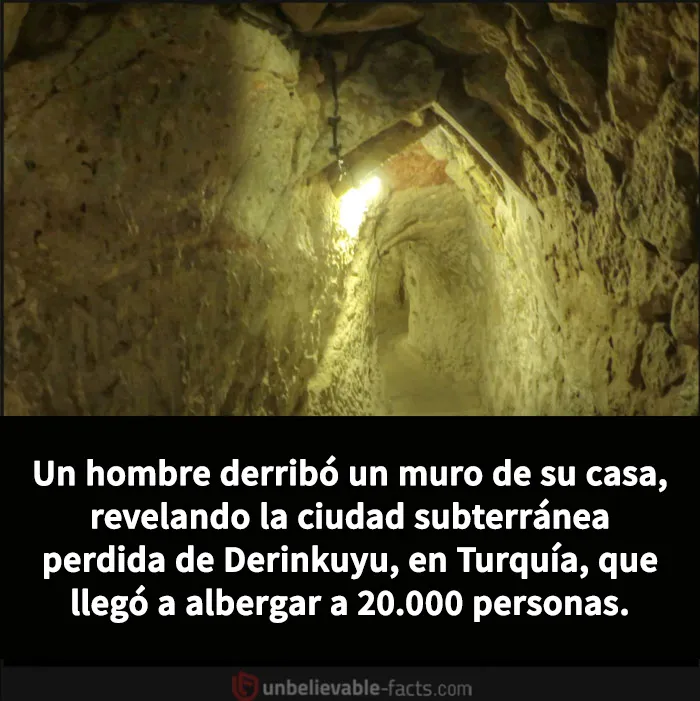 20 Datos increíbles y alucinantes que despertarán tu curiosidad