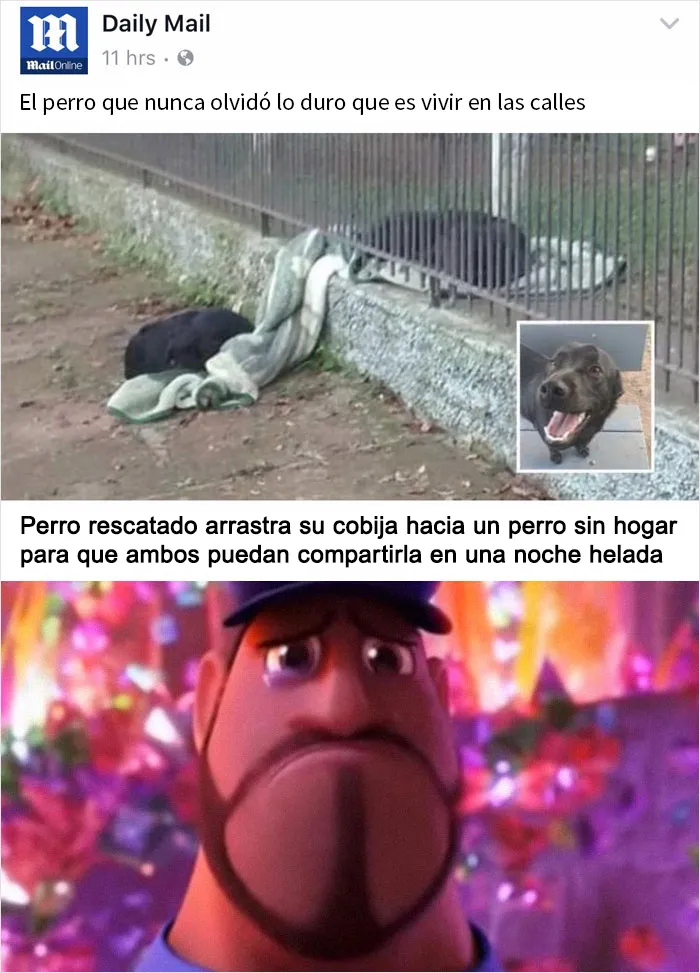 Estas 20 fotos aparentemente reconfortantes muestran en realidad lo dañada que está nuestra sociedad