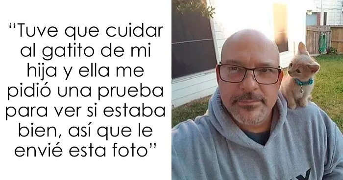 “El consejo de gatos” ha hablado, y estas 20 publicaciones son las más adorables que tienen