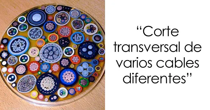 35 Interesantes imágenes de lo que hay oculto en el interior de las cosas (nuevas fotos)