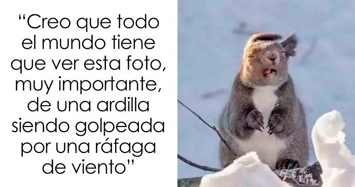 20 publicaciones aleatorias para disfrutar a la hora del té, cortesía de este grupo en línea