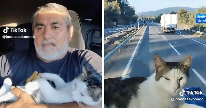 Este camionero chileno va siempre acompañado de su gata, y es adorable