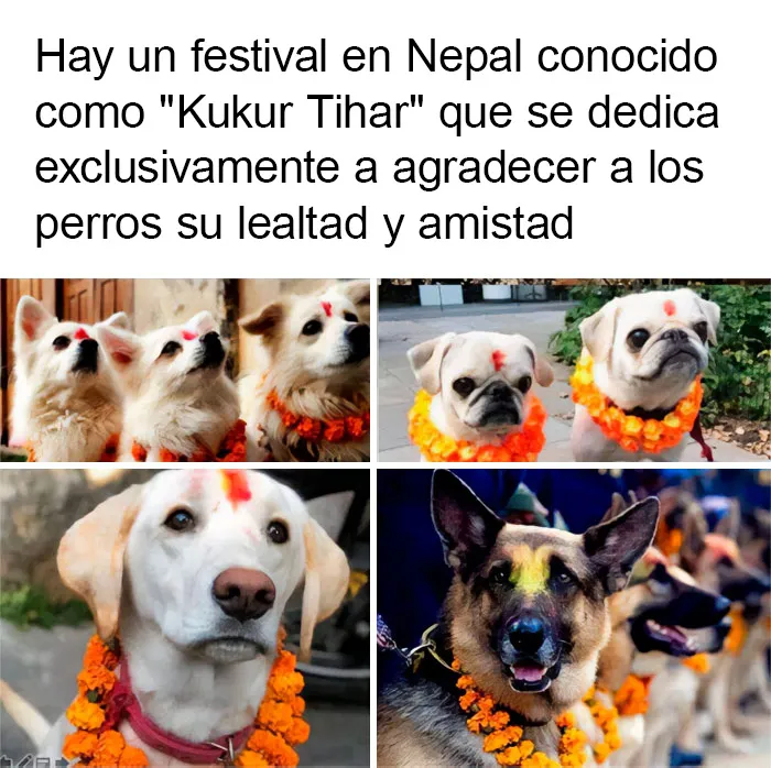 20 Noticias positivas que te harán recobrar la fe en la humanidad (nuevas fotos)