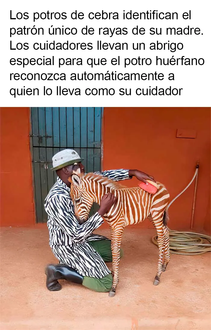 20 Noticias positivas que te harán recobrar la fe en la humanidad (nuevas fotos)