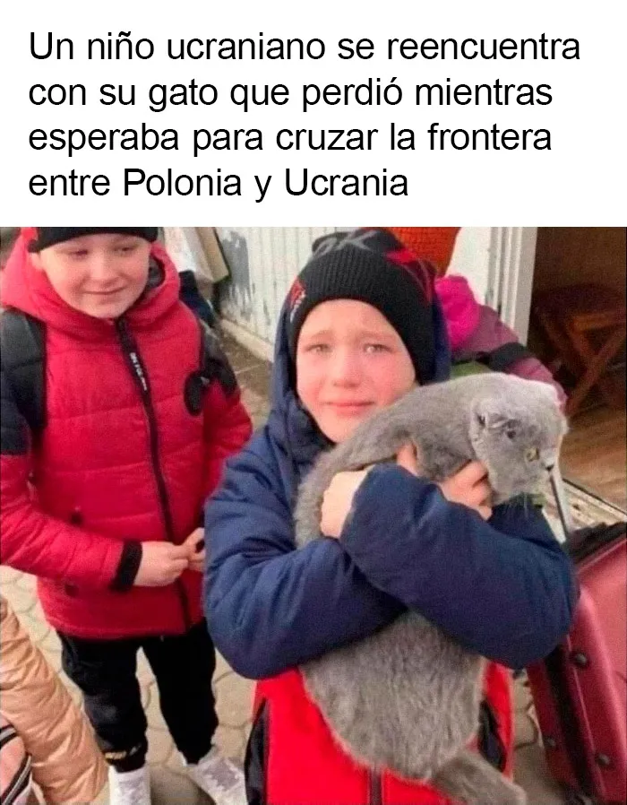 20 Noticias positivas que te harán recobrar la fe en la humanidad (nuevas fotos)