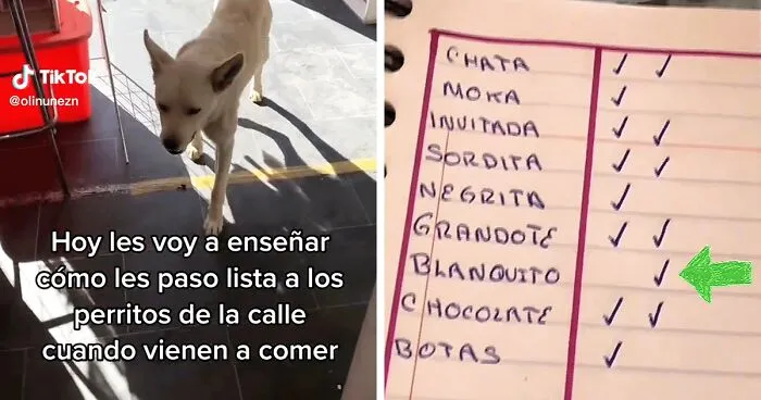 Esta mexicana pasa lista de los perros callejeros que la visitan para asegurarse de que ninguno se quede sin comer