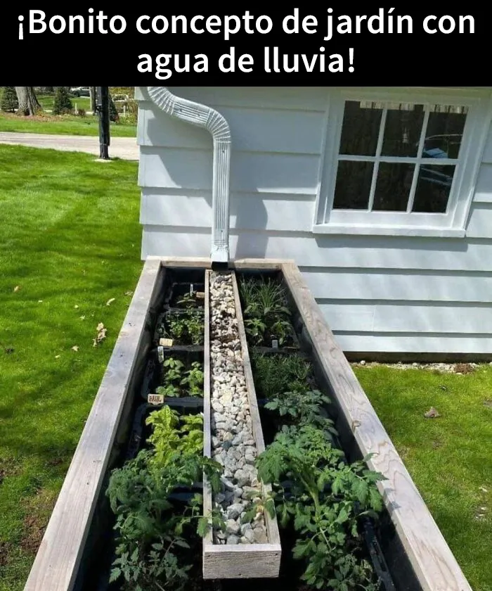 20 Productos extravagantes que no sabías que necesitabas, compartidos por “Odditymall” (nuevas fotos)
