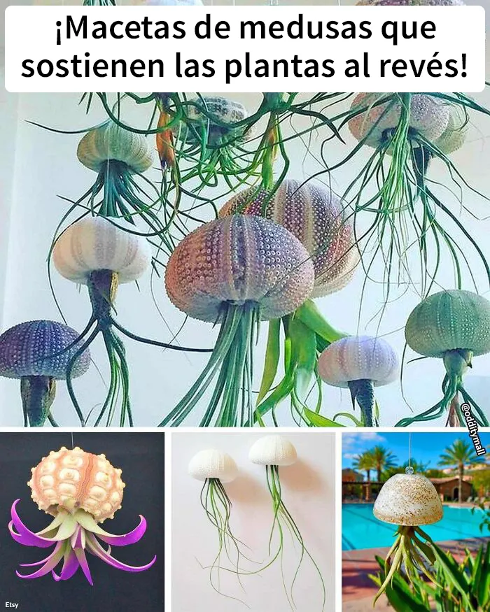 20 Productos extravagantes que no sabías que necesitabas, compartidos por “Odditymall” (nuevas fotos)