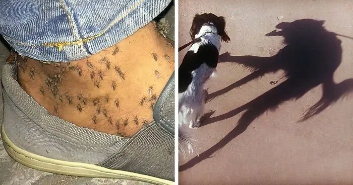 Esta página de Instagram comparte imágenes 'malditas', y aquí tienes 50 de las más espeluznantes