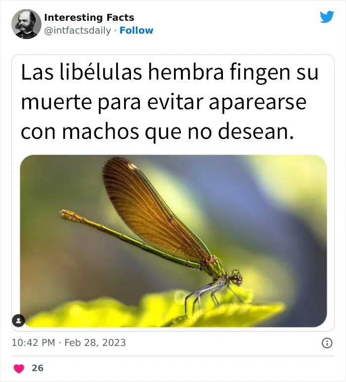 20 curiosidades sobre todo un poco, compartidas por esta cuenta de Twitter llamada “Datos interesantes”
