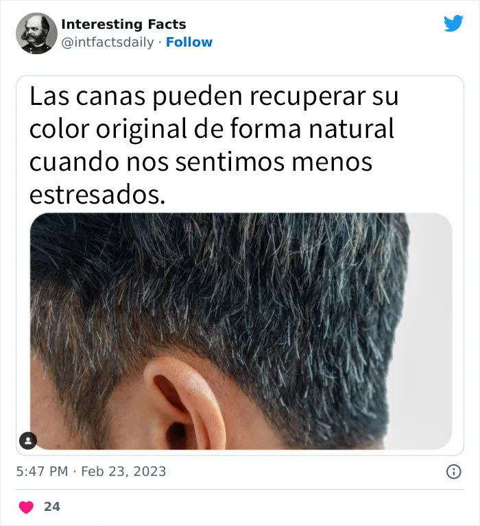 20 curiosidades sobre todo un poco, compartidas por esta cuenta de Twitter llamada “Datos interesantes”