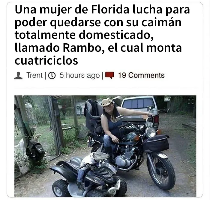 25 Imágenes brutalmente estadounidenses que te sorprenderán para bien o para mal