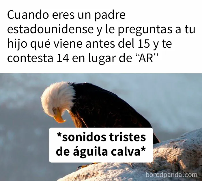 25 Imágenes brutalmente estadounidenses que te sorprenderán para bien o para mal