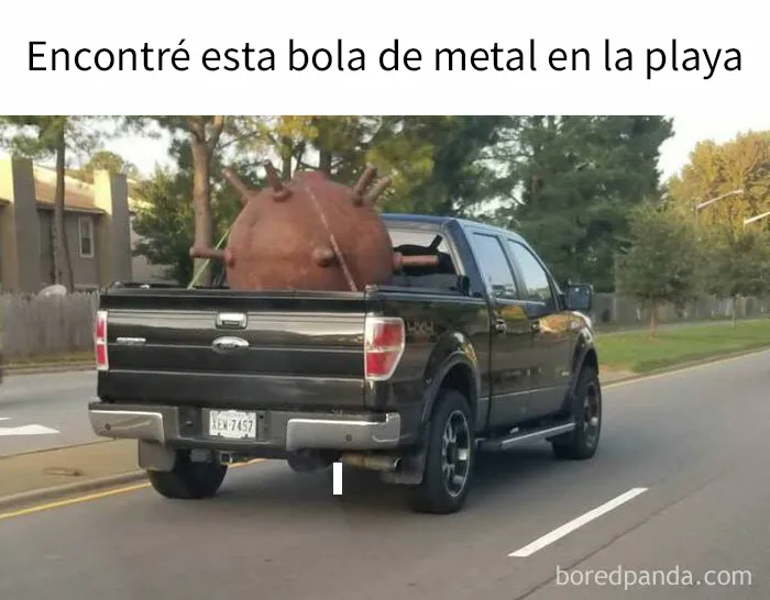 25 Imágenes brutalmente estadounidenses que te sorprenderán para bien o para mal